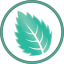 Mintsoft