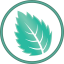 Mintsoft